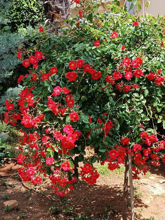 Apartment Sun Garden マリンスカ エクステリア 写真